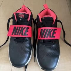 NIKE Team Hustle D8 バスケットボールシューズ 24.5cmのサムネイル