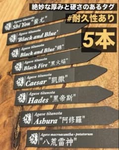 マットタグ 5本 オーダーメイド 園芸ラベル 植物タグ アガベ チタノタ