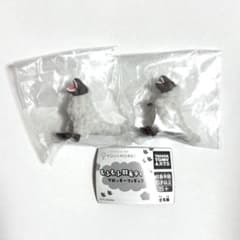 【2個セット】もふもふ羽毛ティラノ フロッキーフィギュア ちゃ ガオー 恐竜