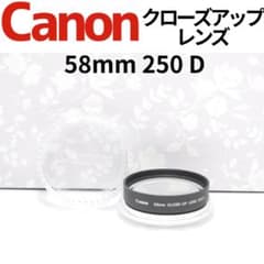 쉬운 매크로 촬영 Canon 근접 촬영 렌즈 58mm 250D 꽃 촬영