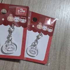 ウサギのアクリルキーホルダーセット ウサギデザインアクリルキーホルダーセット - メルカリ