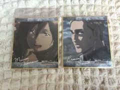 Attack Titan Autographed illustration board featuring Mikasa and Erwin