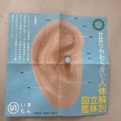 Science Techni Colour 耳模型 キーホルダーのサムネイル