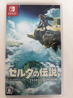 NintendoSwitch 젤다의 전설 티어스 오브 킹덤