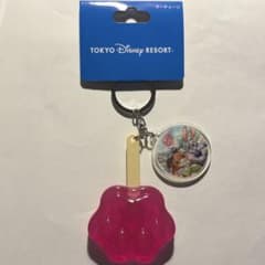 東京ディズニーリゾート ズートピア アイスキャンディー キーチェーンのサムネイル