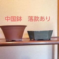 中国鉢 盆栽鉢 2点セット 落款ありのサムネイル