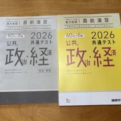 2026 共通テスト対策 実力完成 直前演習 公共,政治・経済のサムネイル