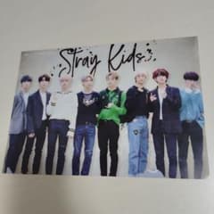 Stray Kids クリアファイルのサムネイル
