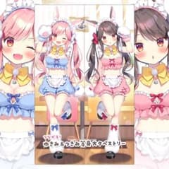 ゆきみ つきみ 等身大タペストリー ぱんのみみ アクキー fanbox - メルカリ