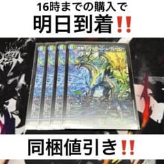 24時間以内発送‼︎】ガイアッシュカイザー 4枚 - メルカリ