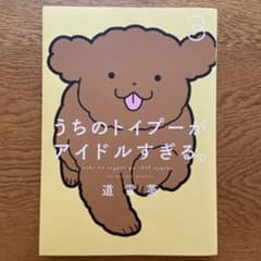 うちのトイプーがアイドルすぎる。 3のサムネイル