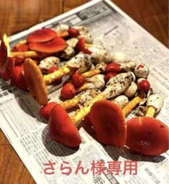 【さらん様専用】7/26本日採れたて新鮮タマゴタケのサムネイル