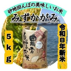 【令和8年産新米】近江米 滋賀県産 みずかがみ 5kgのサムネイル