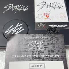 straykids スキズ ミラー ピンバッジ STAY FC入会特典