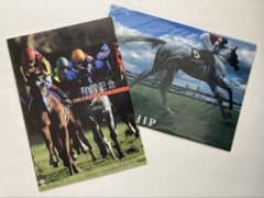 ゴールドシップ　クリアファイル　+2014年有馬記念レーシングプログラムのサムネイル