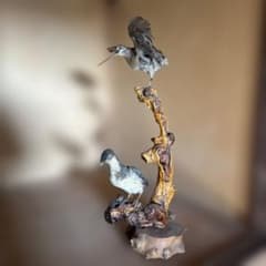 野鳥 剥製 2体セット 止まり木付き 野鳥 剥製 2体セット 止まり木付き | Mercari
