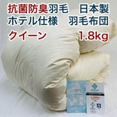 m89376431044_1.jpg?1778015814