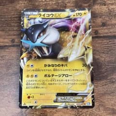 ライコウEX R BW4 ダークラッシュ 025/069のサムネイル