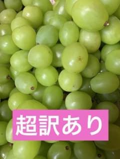 島根県産シャインマスカット超訳あり（1）のサムネイル