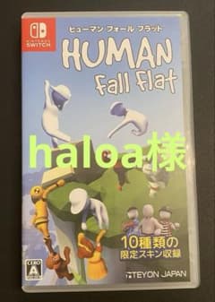 ヒューマンホールフラット　switchソフトのサムネイル