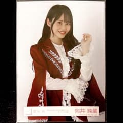 櫻坂46 向井純葉「4th ARENA TOUR IN東京ドーム」OP衣装生写真 - メルカリ
