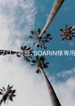プロフ必読♪SOARIN様専用のサムネイル