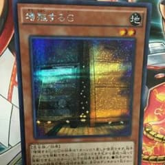 【タカノリ様 取り置き中9/1まで】遊戯王 増殖するG(シークレット)のサムネイル