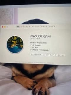 MacBook air13 2020のサムネイル