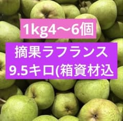 山形県産加工用ラフランス9.5キロ(箱資材込　硬いラフランス　中玉大玉bのサムネイル