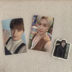 SEVENTEEN DINOディノトレカ2枚&ステッカー - メルカリ
