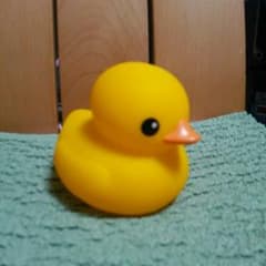 めい様専用★のサムネイル