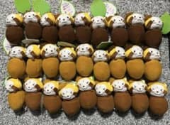 ラスカル どんぐりひょっこりマスコット　27個