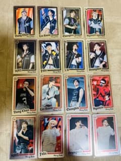 Stray Kids スキズ　エコパスタジアム　ライブフォトカード　コンプリート Stray Kids スキズ エコパスタジアム ライブフォトカード コンプリート