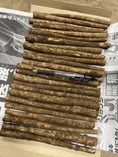 北海道オホーツク地方産　新鮮土付きごぼう　農家直送　箱込み700g 訳あり⑦のサムネイル