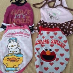 小型犬女の子用のサムネイル