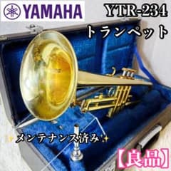 YAMAHA YTR-234 トランペット マウスピース ハードケース - メルカリ