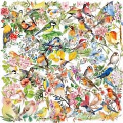 P112 스티커 씰 50장 새 잉꼬 꽃 꽃 콜라주 소재