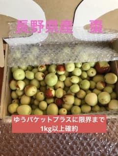 長野県産　生ナツメのサムネイル