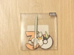 포켓몬 30주년 기념 네기가가나이트 마그넷