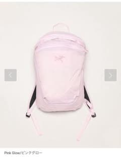 25ss ARC’TERYX アークテリクスHeliad15 Pink Glow Heliad Crossbody Bag – Half-Moon Outfitters