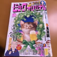 ビッグコミックオリジナル 2026年6月20日号のサムネイル
