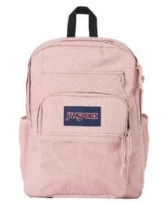 JANSPORT ジャンスポーツ リュック バックパック ピンク ミスティローズ
