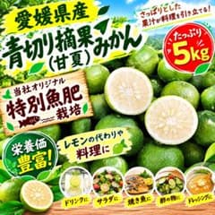 【今だけの旬】青切り摘果みかん（甘夏）5kgのサムネイル