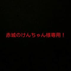 赤城のけんちゃん様専用！のサムネイル