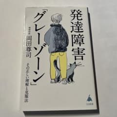 発達障害「グレーゾーン」 その正しい理解と克服法のサムネイル