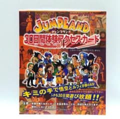 JUMPLAND　30日間体験アクセスカード　ジャンプランド JUMPLAND 30日間体験アクセスカード ジャンプランド - メルカリ