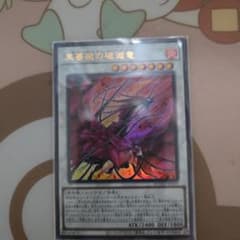 遊戯王　EU版　黒薔薇の破滅竜　スターライトレア 遊戯王/英語版/北米版/黒薔薇の破滅竜/ブランブル・ローズ
