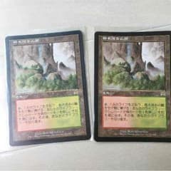 マジックザギャザリング MTG 樹木茂る山麓のサムネイル