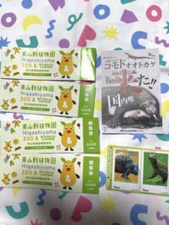 東山動植物園 入場券 4枚セット おまけ コモドドラゴンのサムネイル
