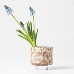 ヘンリーディーン HenryDean フラワーベース アキコ ペルリーノ XS